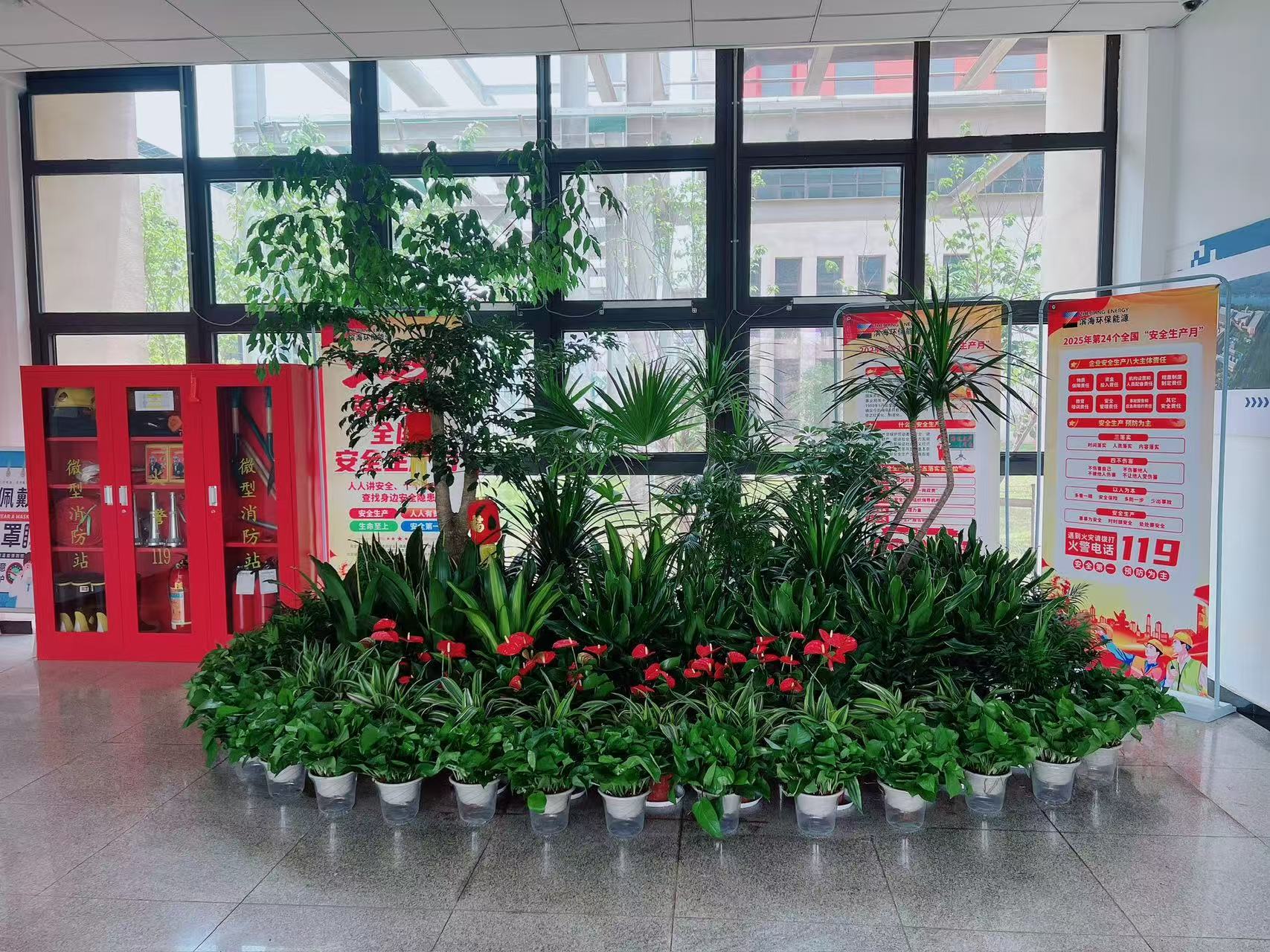 符合搜索习惯！宁波镇海绿化养护哪家强？